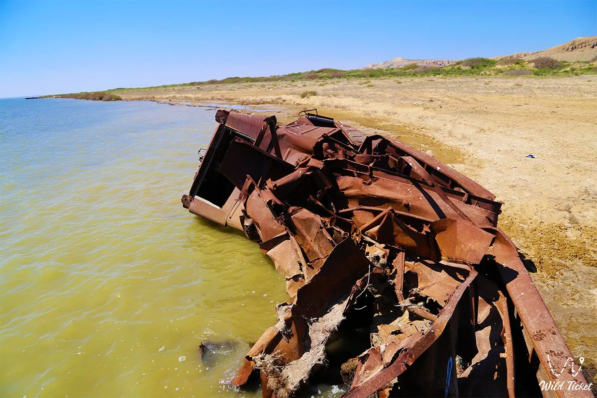 Collapsed rusting boat hull partly submerged at the edge of greenish water beside a barren shore.