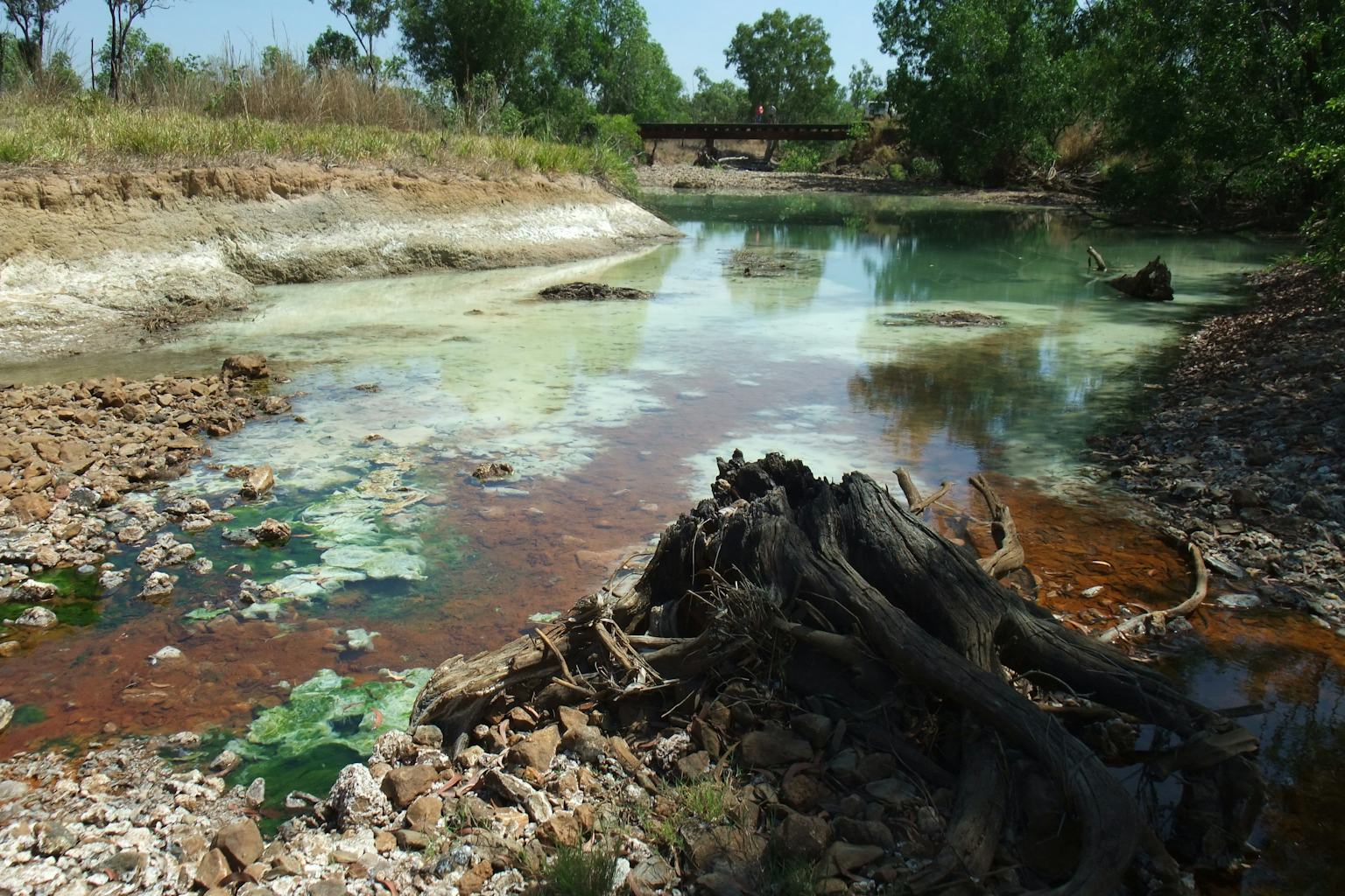 Colour view of a shallow creek with pale green and reddish water, exposed banks, rocks and a large dark tree stump in the foreground; a small bridge and trees are in the background.