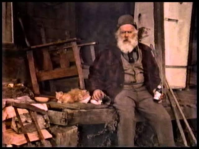 Low-resolution frame showing a white-bearded man in a cap seated outside a weathered wooden structure, with orange cats beside him and a small bottle in his right hand.