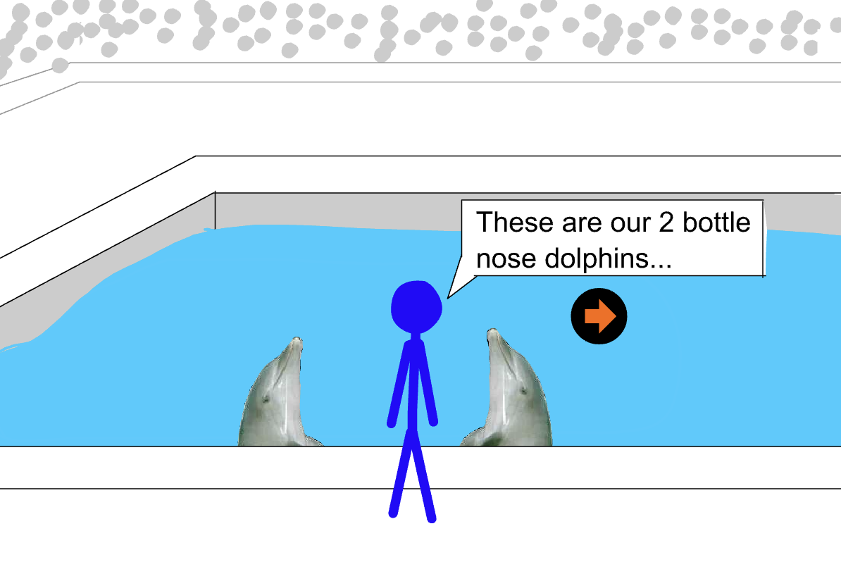 Blue stick figure stands beside a pool containing two photographed dolphins. A speech bubble says, “These are our 2 bottle nose dolphins...” and an orange arrow inside a black circle points right.
