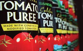 Close, angled photograph of several black-and-red tomato purée tins arranged in a receding row; the foreground labels show partial Sainsbury’s and “California” wording, white “TOMATO PUREE” lettering, tomato illustrations, and yellow bands referring to genetically modified tomatoes.