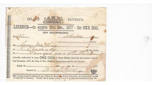 A yellowed Inland Revenue paper licence for one dog, with handwritten entries and a printed expiry date of 31 December 1877.
