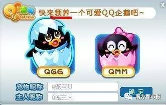 QQ Pet adoption window showing two cartoon penguin choices labelled GGG and MMM, with name fields and a confirmation button.