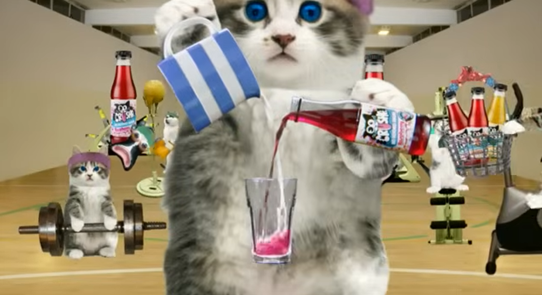 A cut-out kitten holds a striped towel and Crusha bottle in a gym, with smaller exercising cats behind it and video-player controls along the bottom.